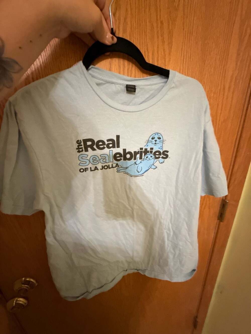 Gildan The Real Selebrities of La Jolla T-Shirt Size L Light Blue